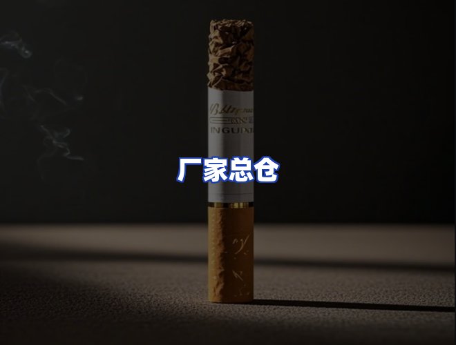 专业团队